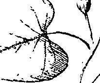 110/110220030100310_1.png