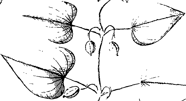110/110220030100310_2.png