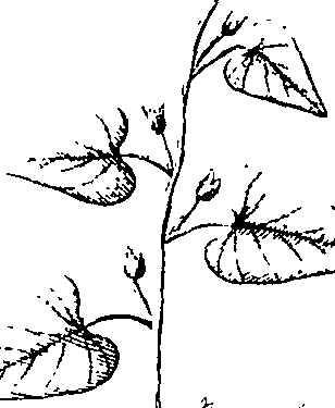 110/110220030100310_3.png