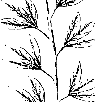 110/110220030100320_0.png