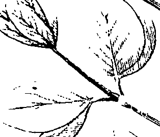 110/110220030100320_1.png