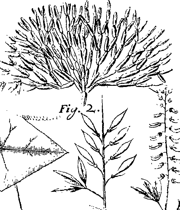 110/110220030100320_2.png