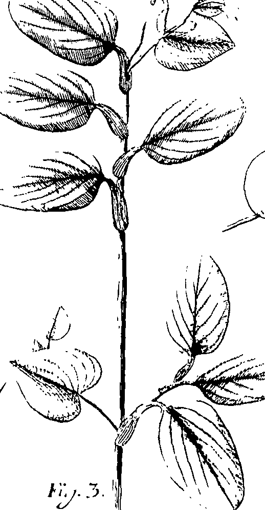 110/110220030100330_0.png