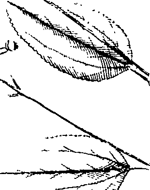 110/110220030100340_0.png