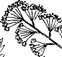 110/110220030100340_1.png