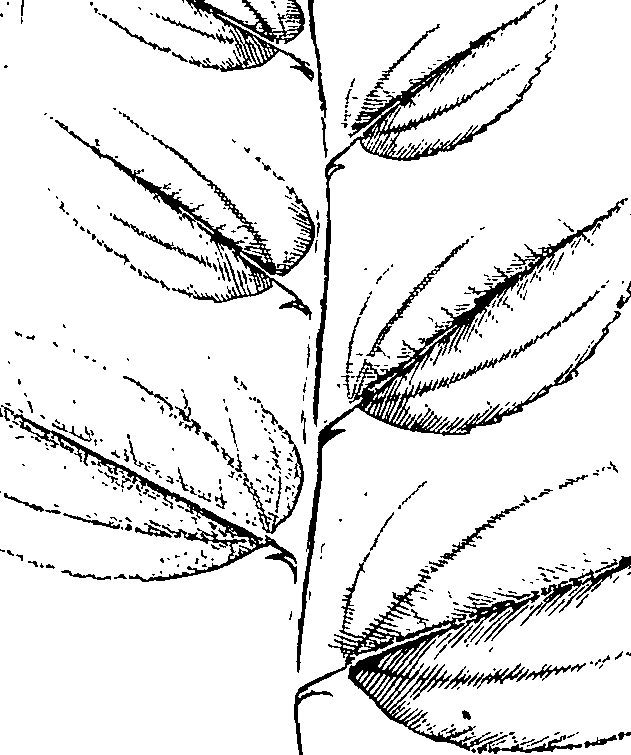 110/110220030100350_0.png