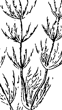 110/110220030100350_1.png