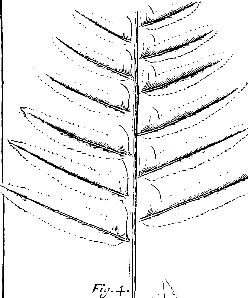 110/110220030100360_0.png