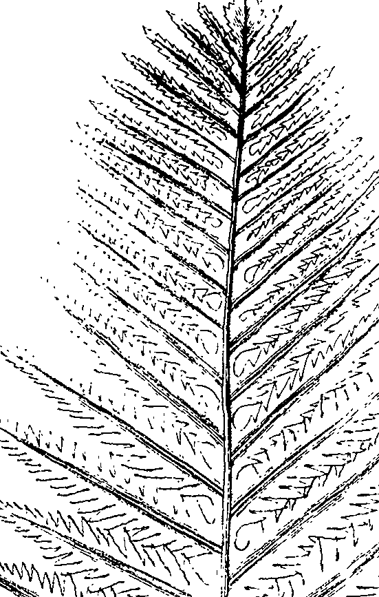 110/110220030100360_1.png