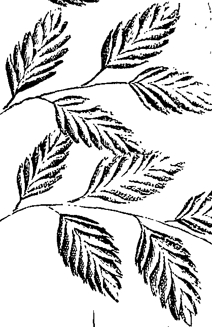 110/110220030100380_0.png