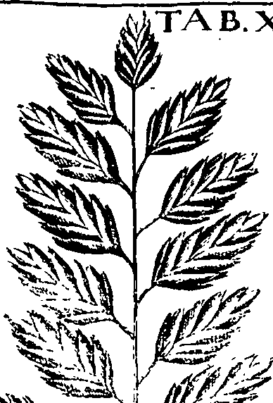 110/110220030100380_1.png