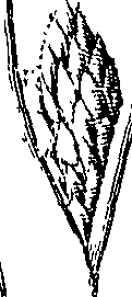 110/110220030100400_0.png