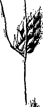 110/110220030100400_1.png