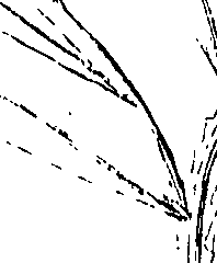 110/110220030100440_0.png