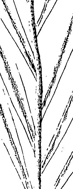 110/110220030100440_1.png