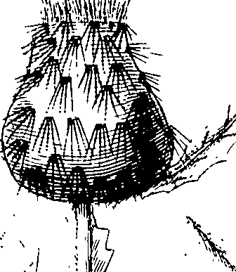 110/110220030100440_2.png