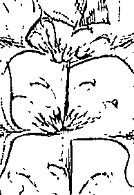 110/110220030100470_0.png