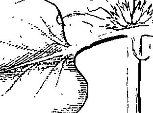110/110220030100470_1.png