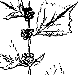 110/110220030100470_2.png