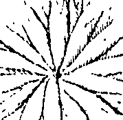 110/110220030100480_0.png