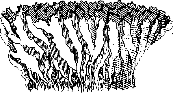 110/110220030100480_1.png