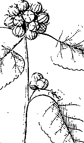 110/110220030100500_0.png