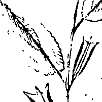 110/110220030100500_1.png