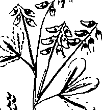 110/110220030100510_0.png