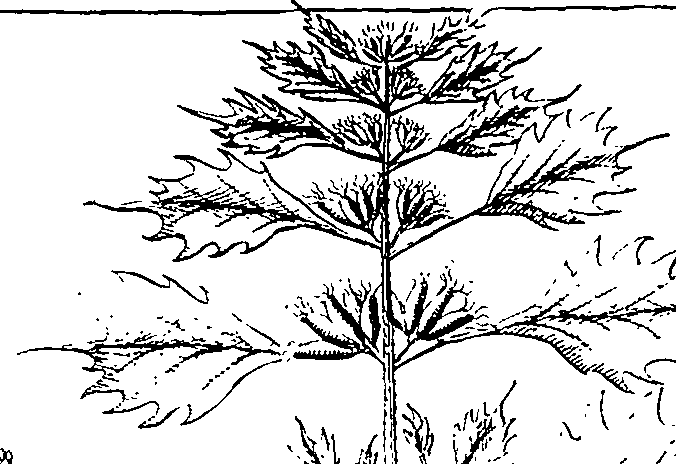 110/110220030100510_1.png