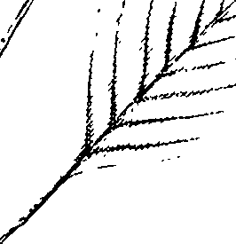 110/110220030100520_0.png