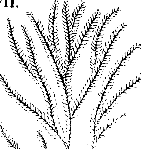 110/110220030100530_0.png