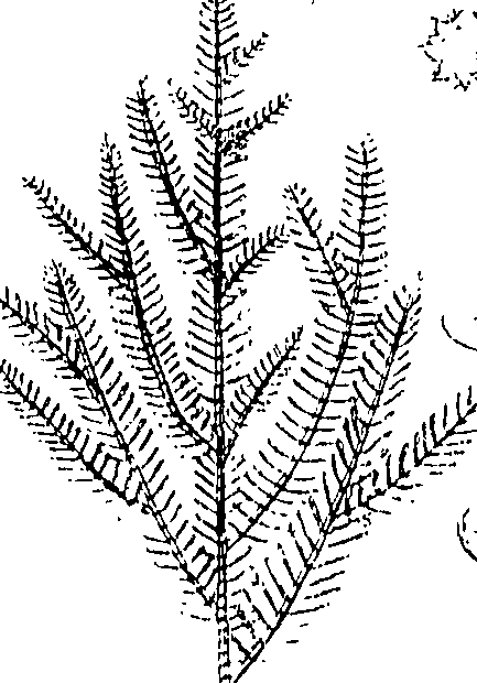 110/110220030100540_0.png