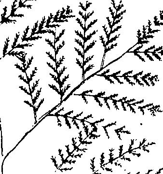 110/110220030100540_2.png