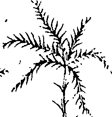 110/110220030100550_0.png