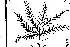 110/110220030100550_1.png