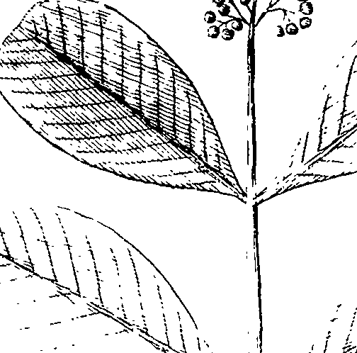 110/110220030100550_2.png