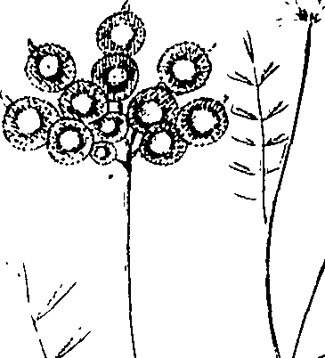 110/110220030100560_0.png