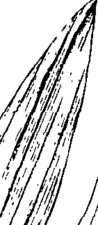 110/110220030100570_0.png
