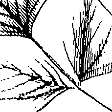 110/110220030100580_0.png