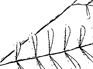 110/110220030100580_1.png