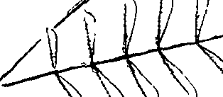110/110220030100580_2.png