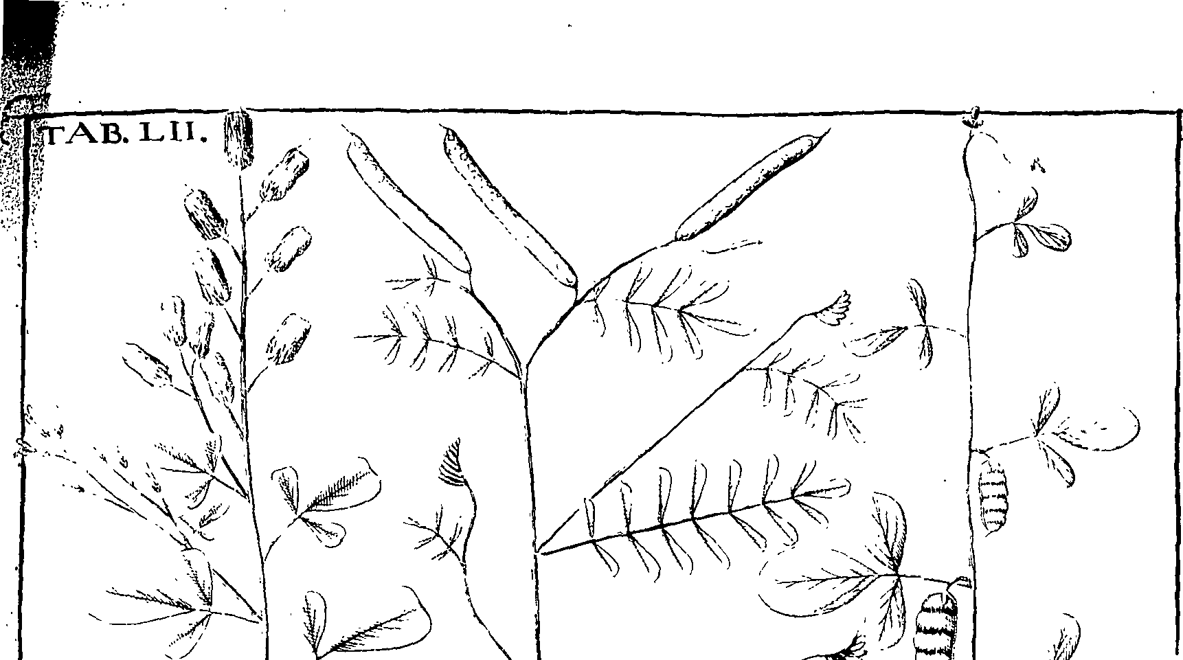 110/110220030100580_3.png
