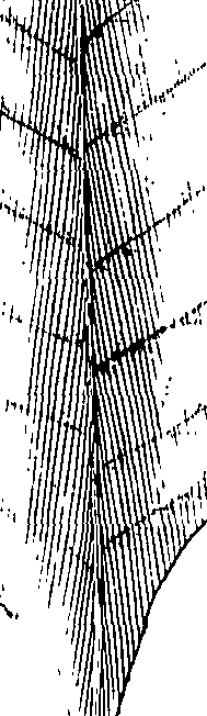 110/110220030100590_0.png