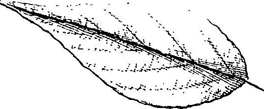 110/110220030100590_2.png