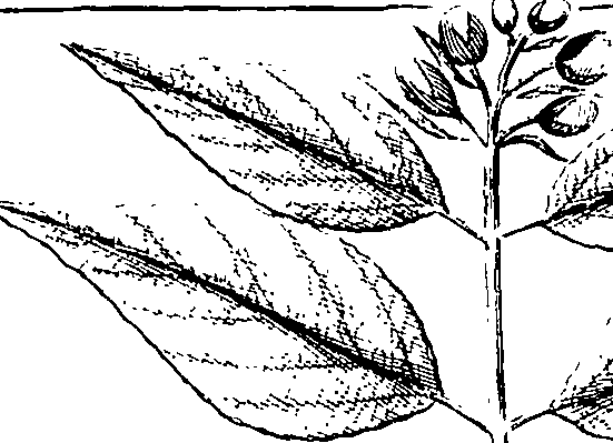 110/110220030100590_3.png
