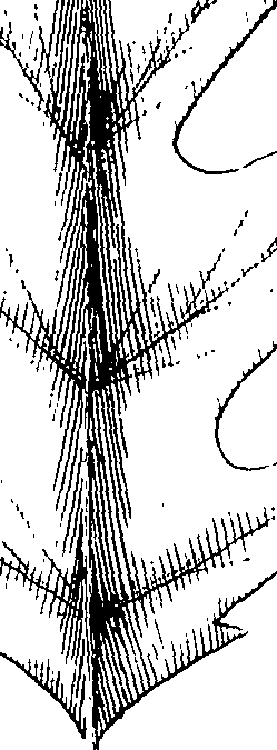 110/110220030100600_0.png