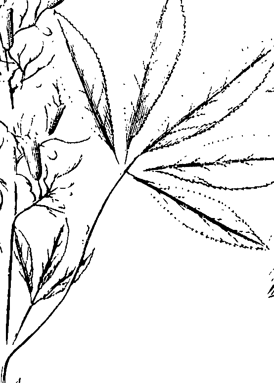 110/110220030100620_0.png