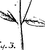 110/110220030100620_1.png