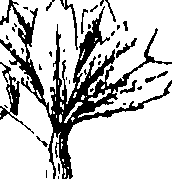 110/110220030100640_0.png
