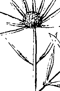 110/110220030100640_1.png